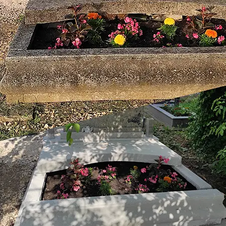 sirkotisztitas_gal02