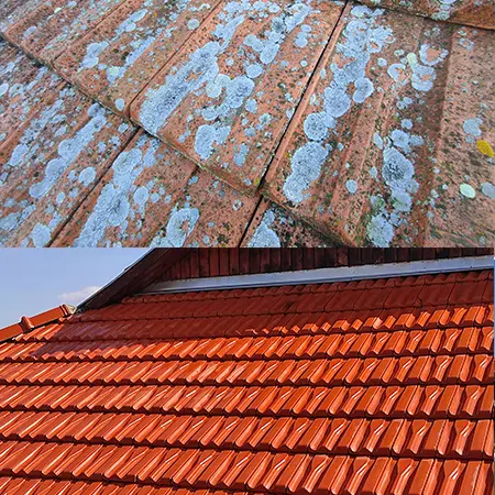 teto_tisztitas_gal02